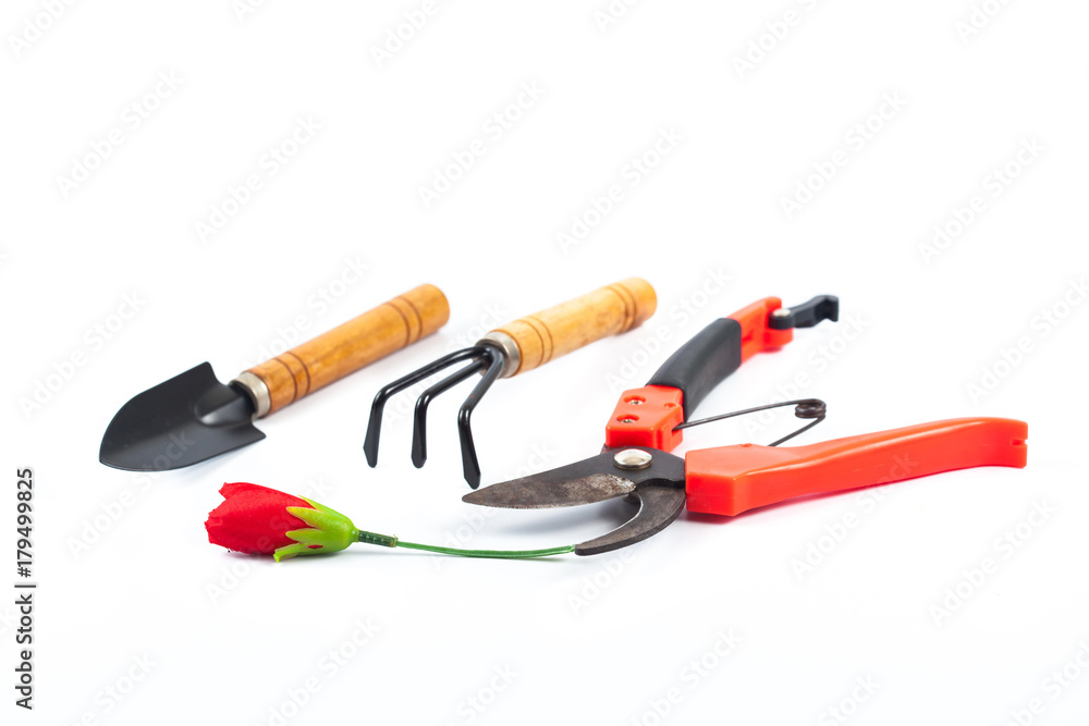 old scissors for cut branches and garden tool on white background old scissors for cut branches and garden tool on white background