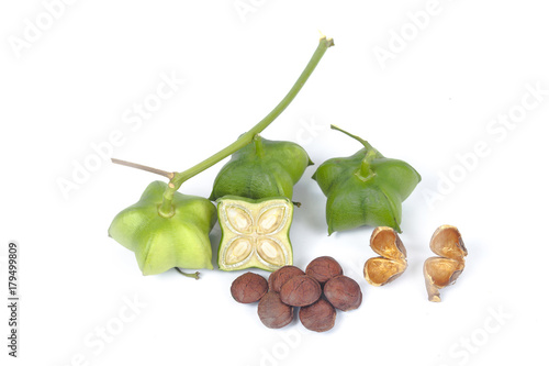 fresh and dry Inca peanut on white background photo