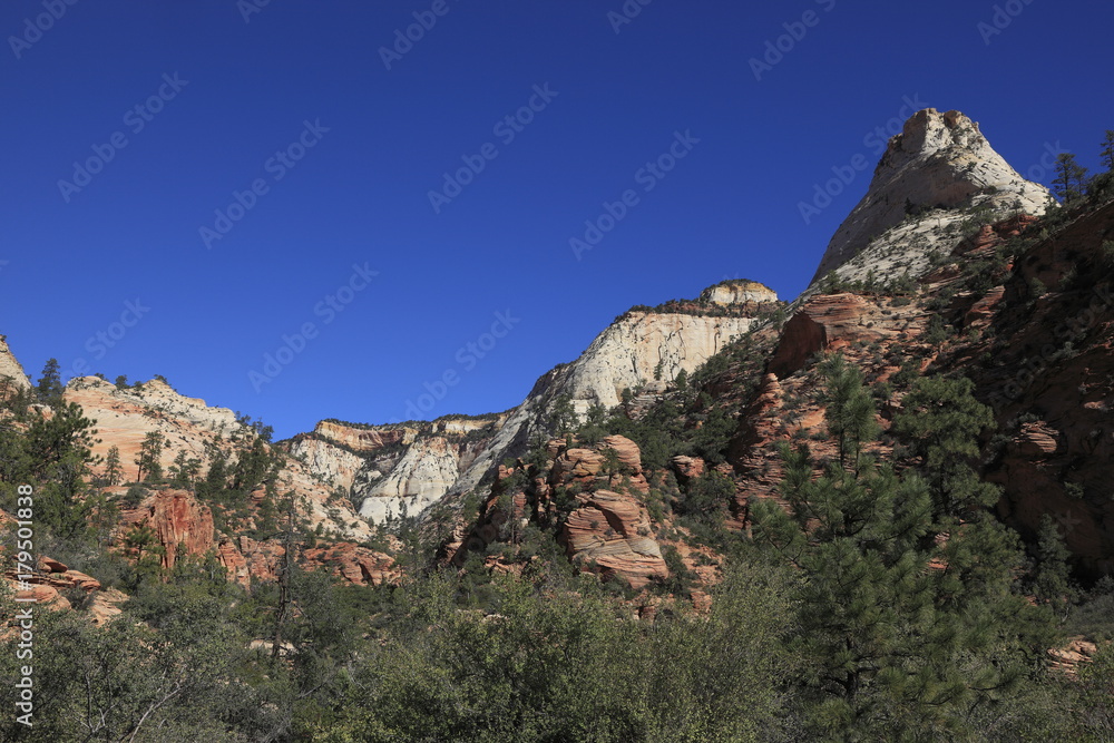 ザイオン国立公園の自然景観