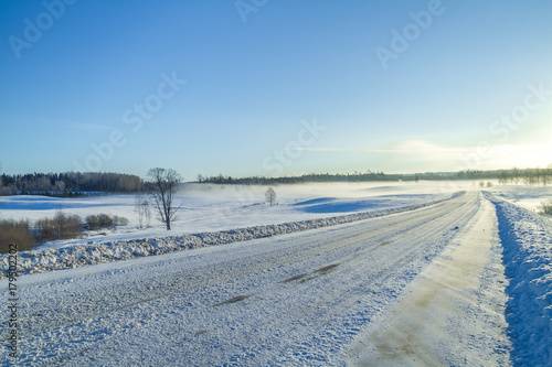 White winter, fog and trees. Silent and sunny morning. 2012