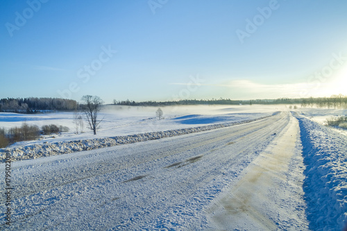 White winter, fog and trees. Silent and sunny morning. 2012