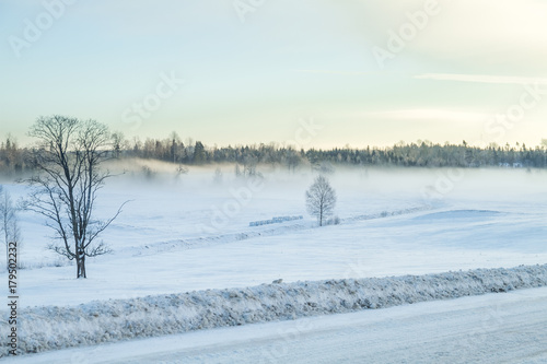 White winter, fog and trees. Silent and sunny morning. 2012
