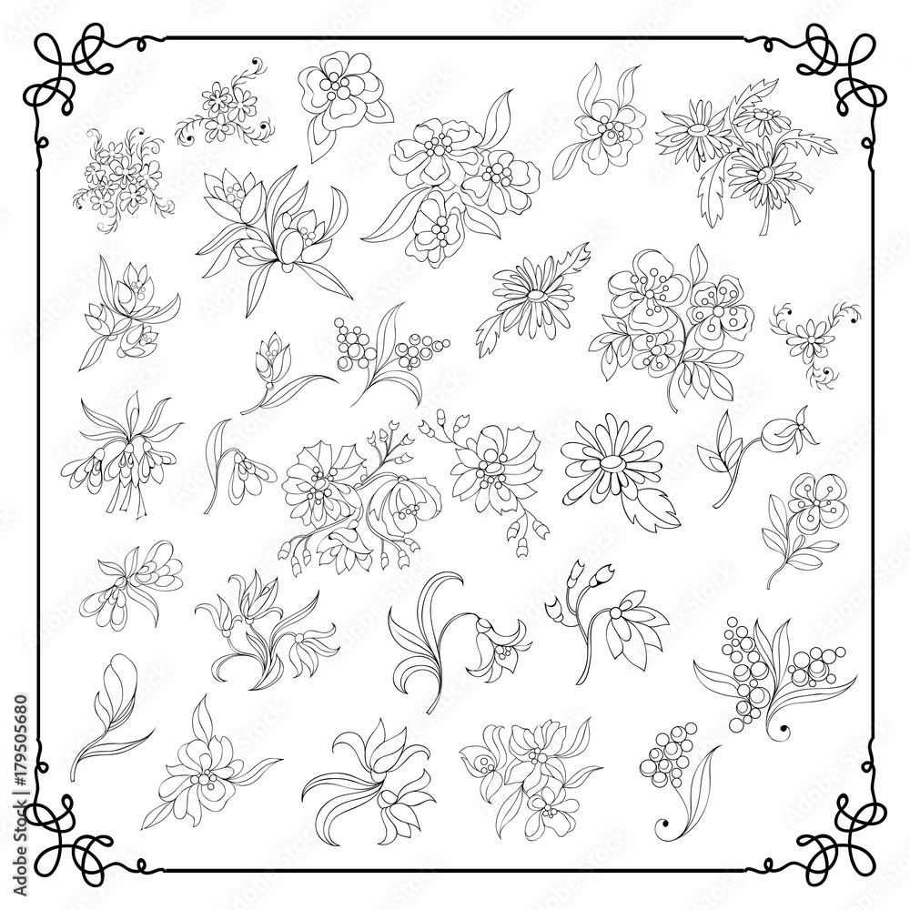 Graphic illustration with floral elements _set 4 Graphic illustration with floral elements _set 4