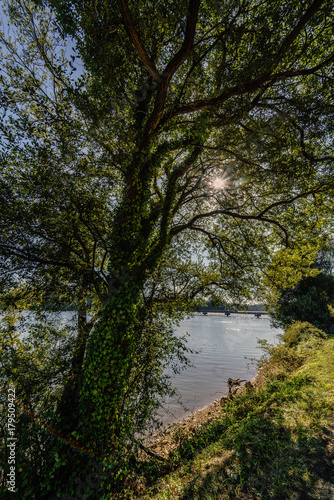 View of a lake in Galicia (Spain) through the trees of the shore on a day with totally clear sky
