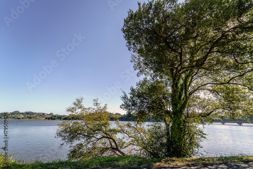 View of a lake in Galicia (Spain) through the trees of the shore on a day with totally clear sky