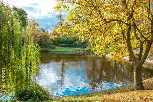 Fototapeta Naklejka Na Ścianę i Meble -  Sunny autumn landscape with golden trees and water - autumn park -  bunte Blätter am Wasser im Park

