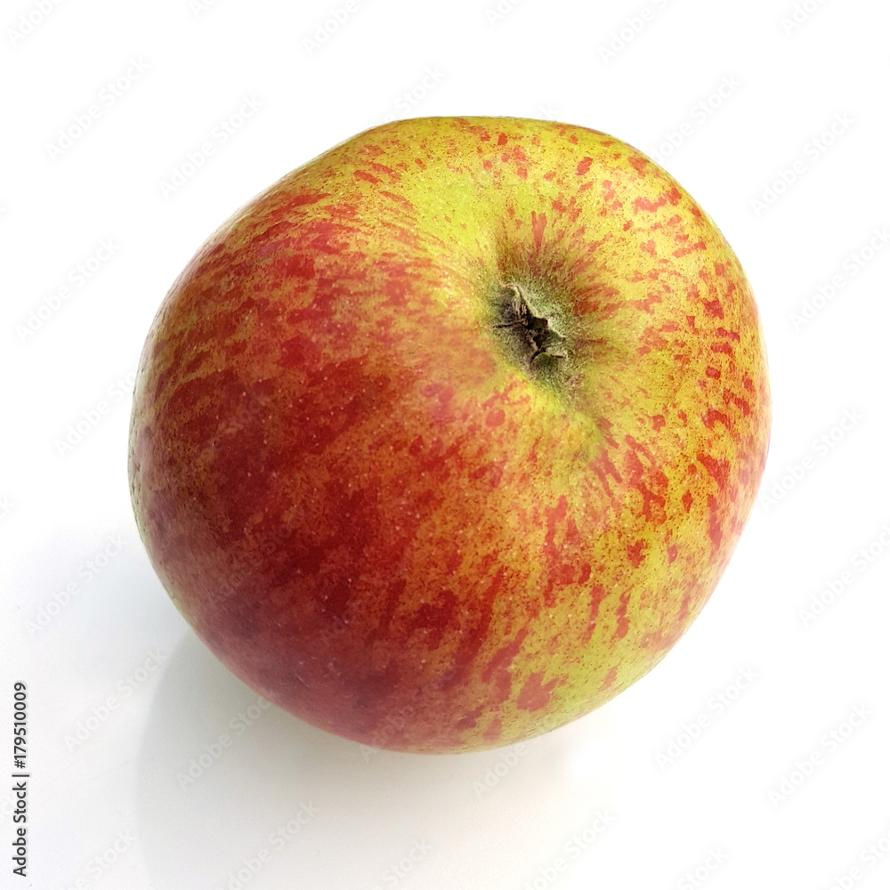 Stapelfelds, Taubenapfel, Alte Apfelsorte, Apfel, Malus, domestica Stapelfelds, Taubenapfel, Alte Apfelsorte, Apfel, Malus, domestica