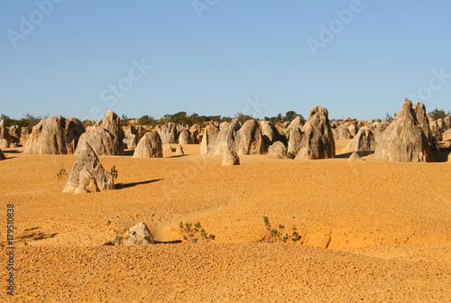 The Pinnacles, western australia