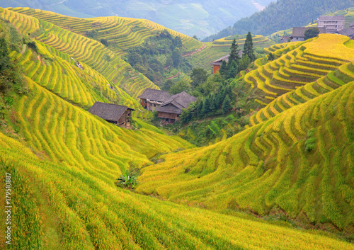 Longji Rice Terraces