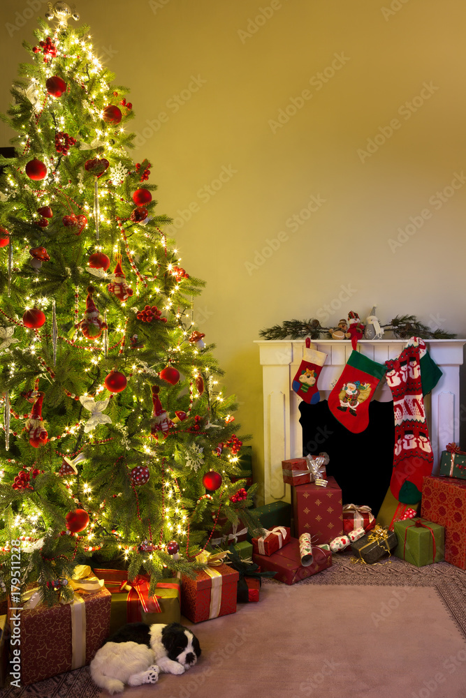 Dog under the christmas tree
