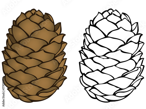 Pinecone icon & coloring page