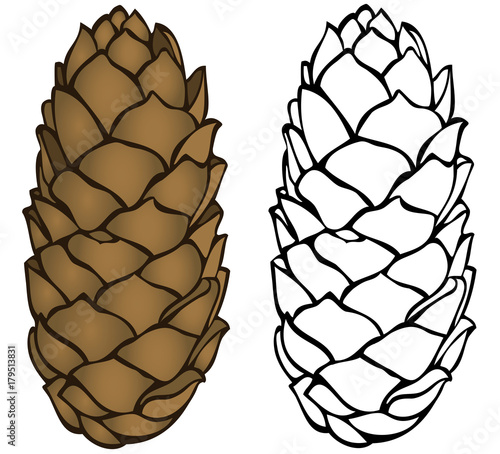 long Pinecone coloring page