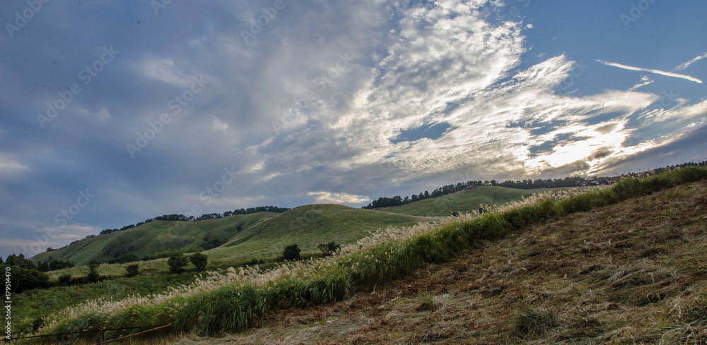 Fototapeta premium 秋の伊豆稲取細野高原