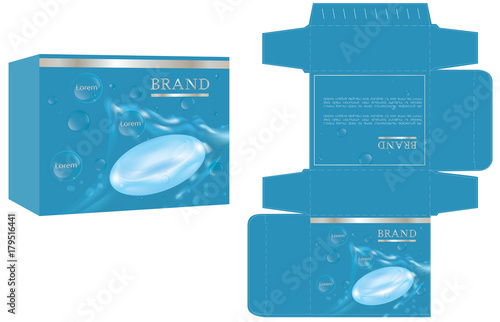 Packaging design, soap box design template and mockup box. Illustration vector.
