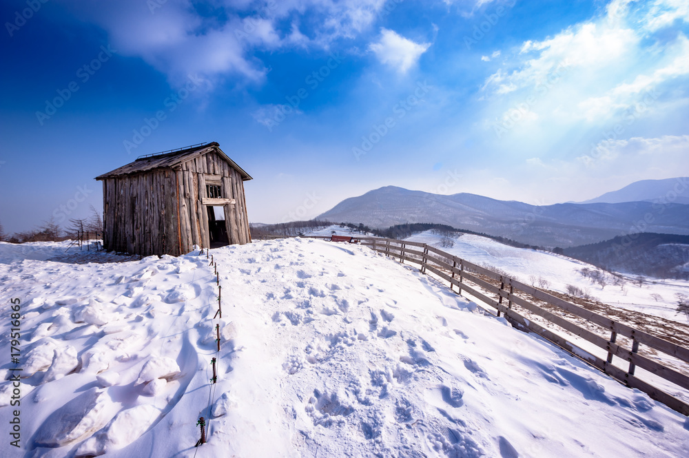 Pyeongchang, Gangwon-do, South Korea - Daegwallyeong Yangtte Farm with heavy snowfall.