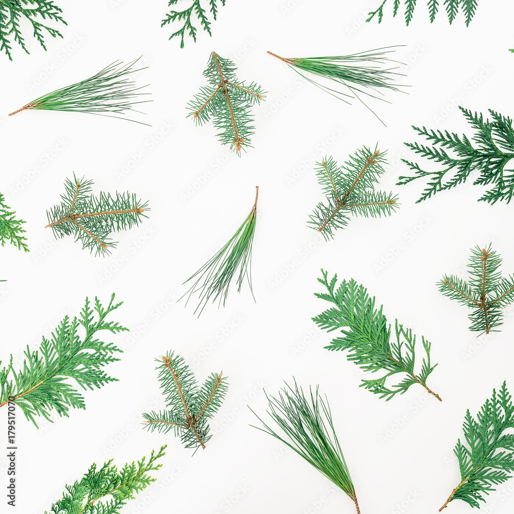 Christmas pattern of winter trees on white background. Christmas or New year concept. Flat lay, top view