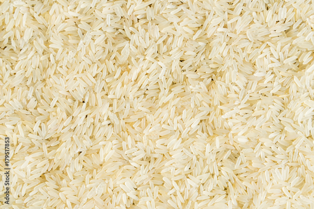 Short grains of uncooked white rice Short grains of uncooked white rice