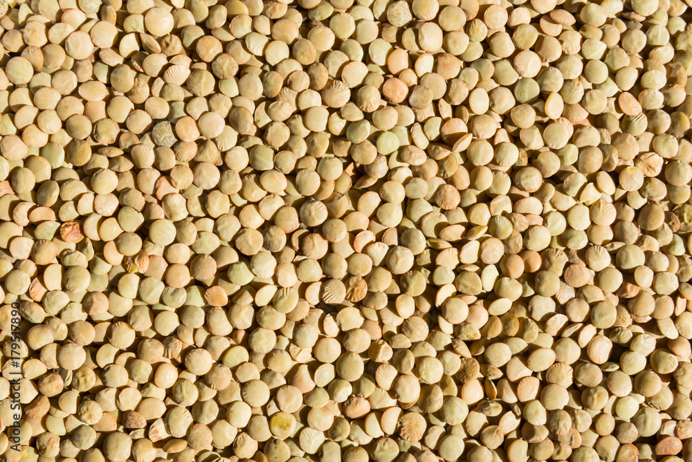 Green lentils pattern. Natural organic lentils for healthy food Green lentils pattern. Natural organic lentils for healthy food