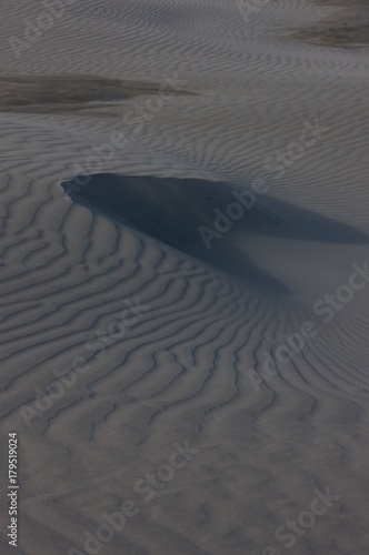 Farewell Spit Natiional Park New Zealand photo