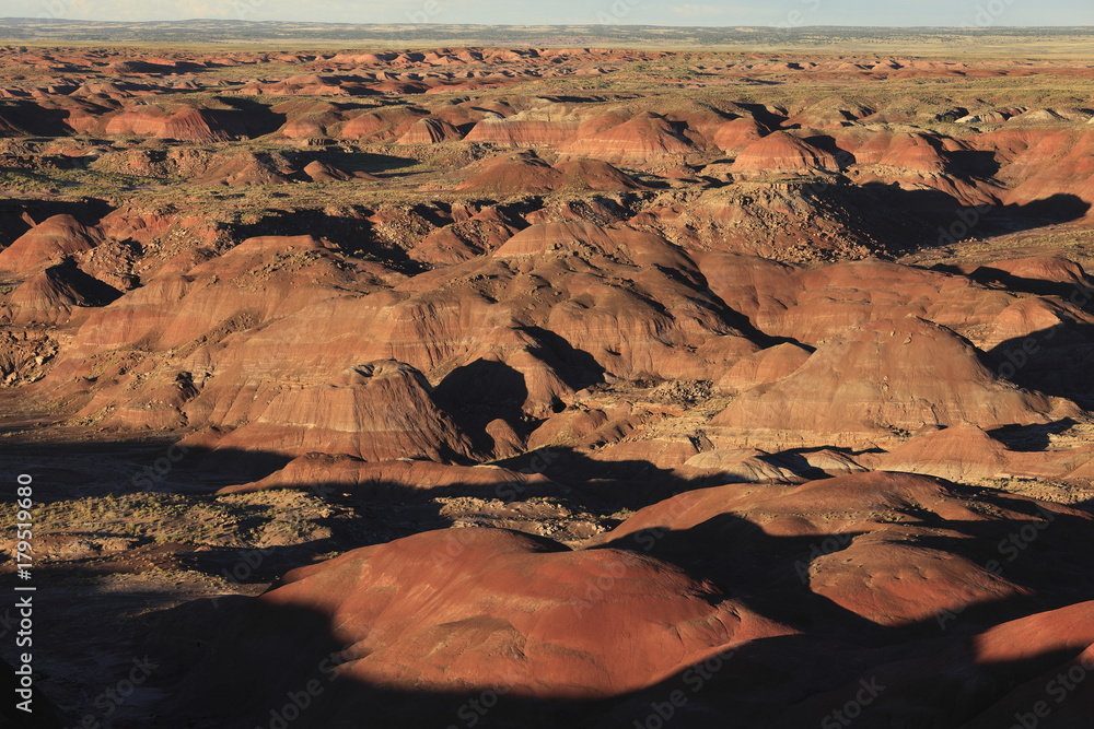 Fototapeta premium ペトリファイド・フォレスト国立公園のペインティド・デザート