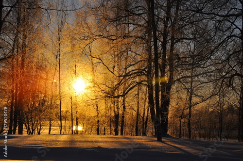 Rayons de soleil glaçants - Oulu - Finlande © Ma