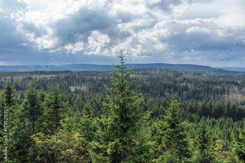 The landscape of mountain in Harz, Germany