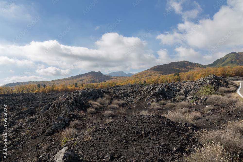 Volcano Etna and vegetation
