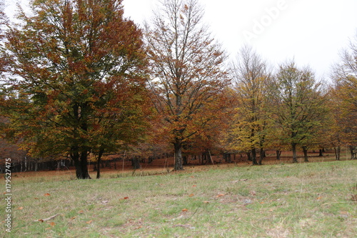l'automne en Lozère