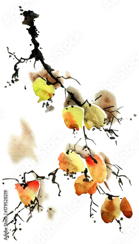 Watercolor tree branch © ola_tarakanova