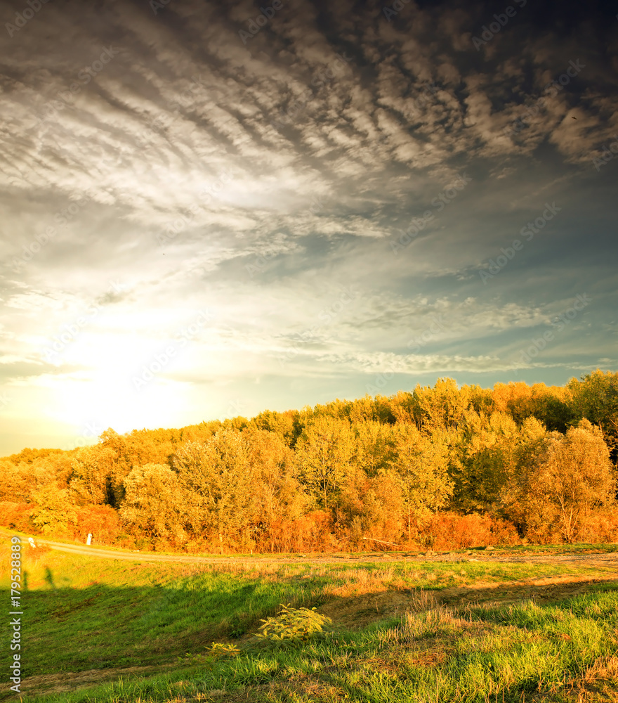 early autumn colourful trees