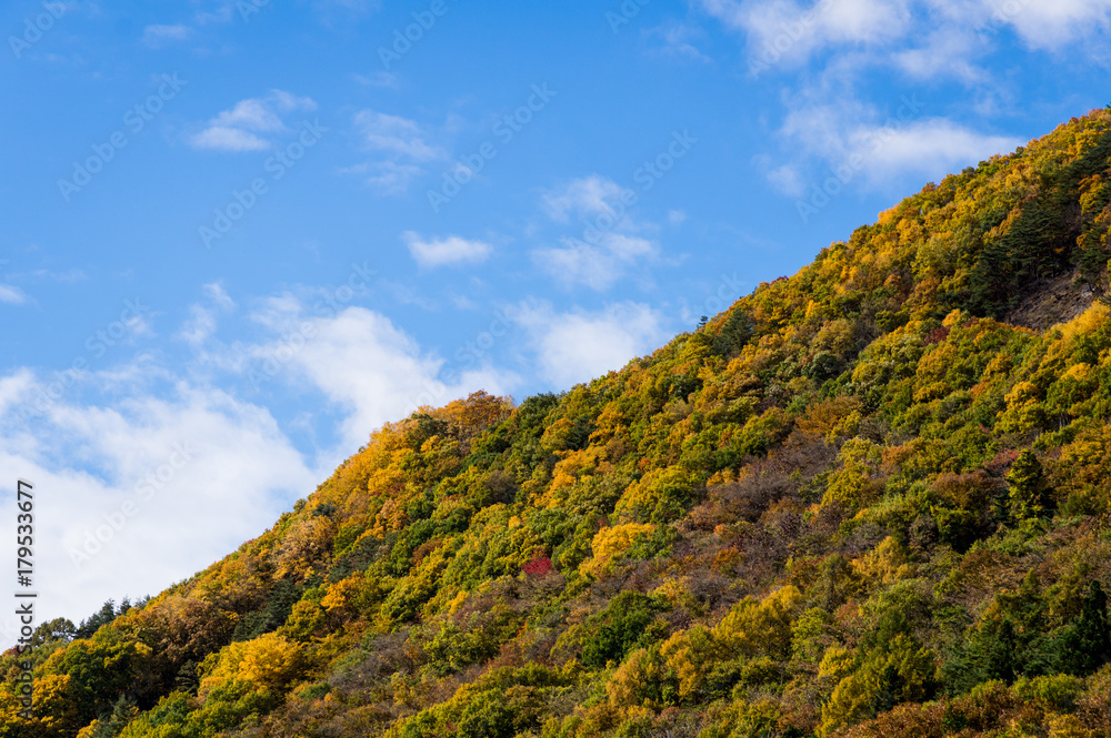 片品渓谷の紅葉
