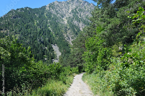 hiking trail through the forest slopes of mountains in summer