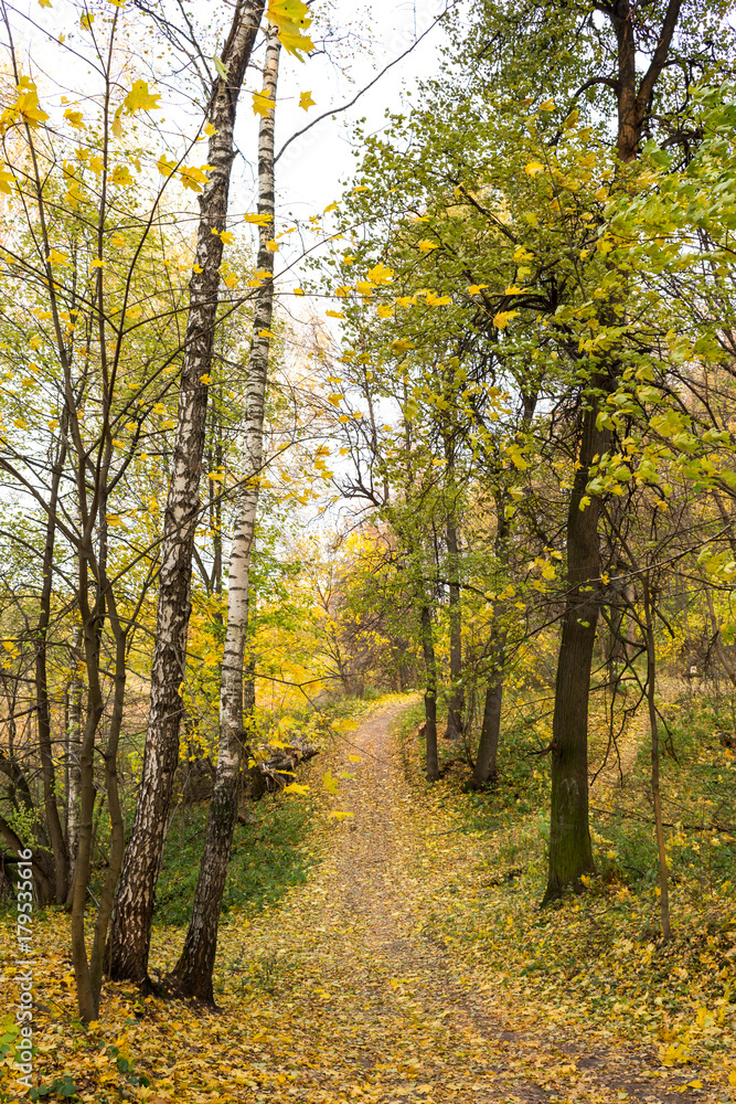 Golden Autumn in the Manor