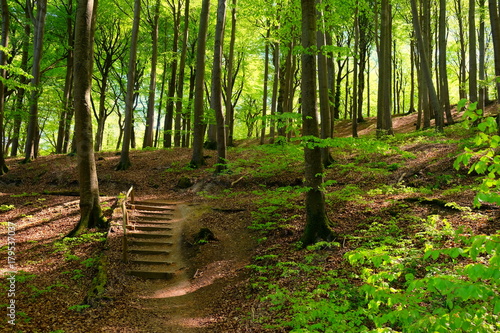 Im Nationalpark Jasmund