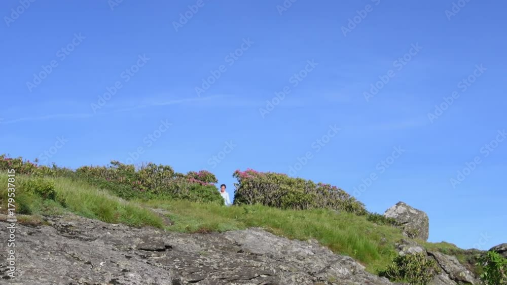 4K Slider Pan Woman Hikes Through Rhodo and Over Rocks during a June bloom 4K Slider Pan Woman Hikes Through Rhodo and Over Rocks during a June bloom