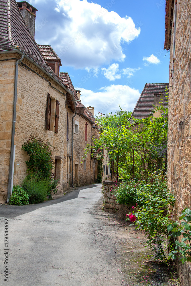 Saint Léon sur Vézère. Rue du village. Dordogne. Nouvelle-Aquitaine. 