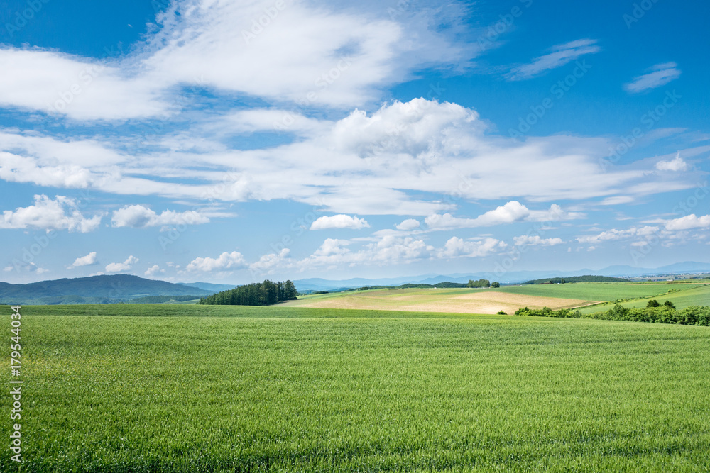 晴れたひの美瑛の丘 / 北海道 美瑛町