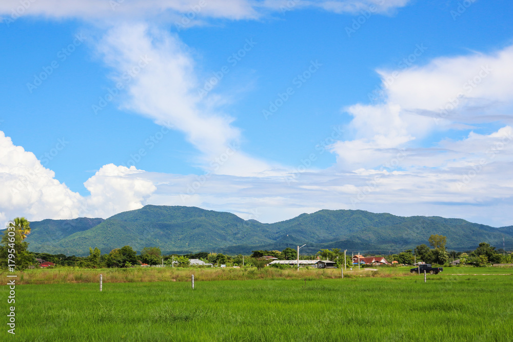 mountain rice field landscapeblue sky mountain rice field landscapeblue sky