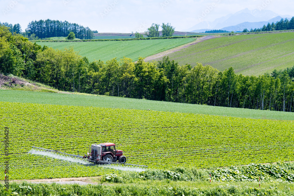 Obraz premium 肥料を散布するトラクター / 北海道の農場