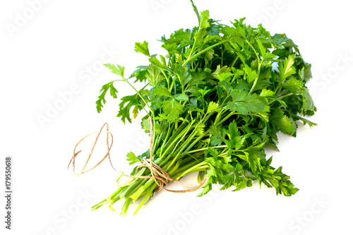 Fresh parsley isolated on white background, tied with rope.