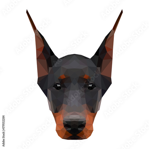 Abstract polygonal doberman head. Modern low poly doberman portrait pattern background