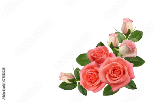 Pink rose flowers arrange on white background.Soft focus.Vintage tone picture. (Clipping path)