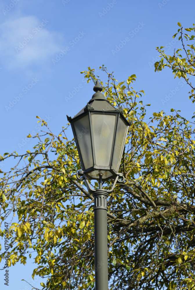 Rural scene with an old lantern near a tree in front of blue sky