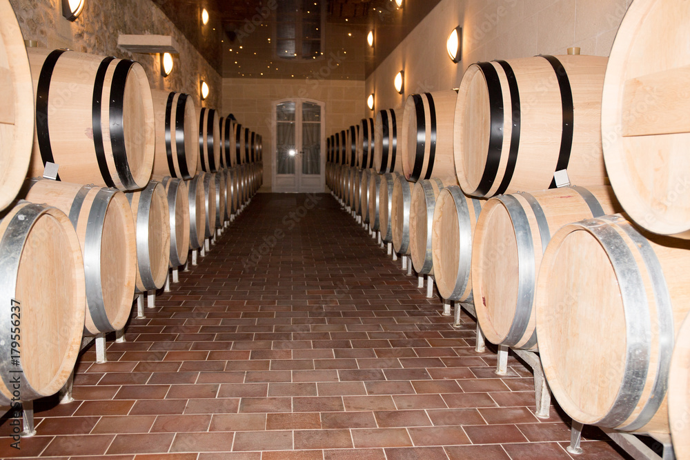 cellar full of wooden wine barrels for aging cellar full of wooden wine barrels for aging