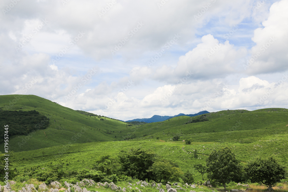 山口県美祢市 秋吉台 山口県美祢市 秋吉台
