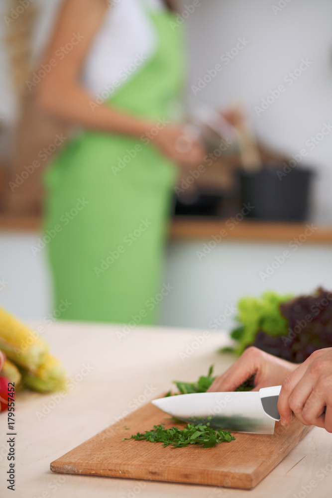 Close-up of human hands cooking vegetables salad in kitchen. Healthy meal and vegetarian concept Close-up of human hands cooking vegetables salad in kitchen. Healthy meal and vegetarian concept