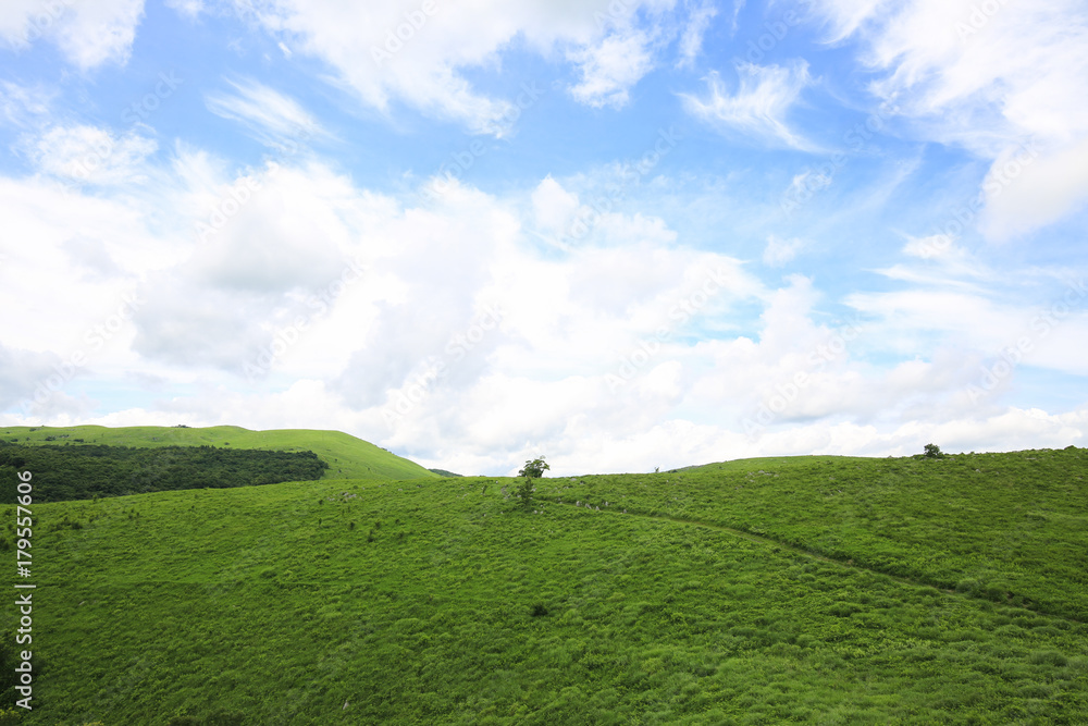 Obraz premium 山口県美祢市 秋吉台