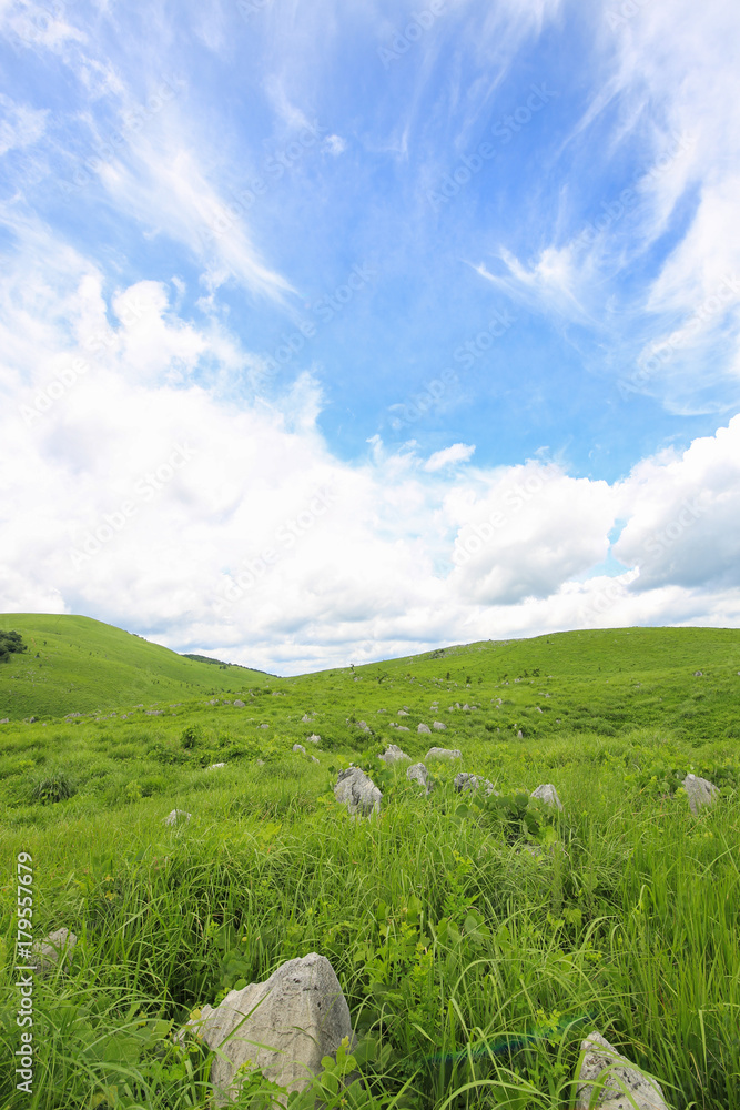 Obraz premium 山口県美祢市 秋吉台
