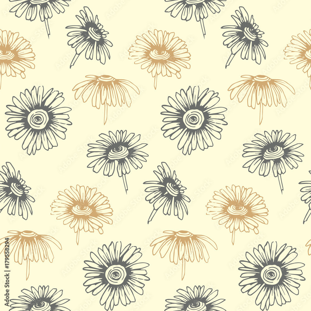 Seamless vector pattern with hand drawn daisy flowers. Design for covers, textile, packaging