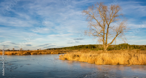 осенний пейзаж на замерзшей реке с деревьями на берегу, Россия, Урал